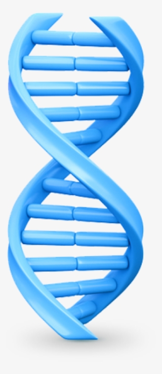 Dna Png, Download Png Image With Transparent Background, #7572029