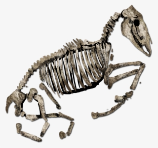 Improved Levels Graphics For Age Of Fear #7573955