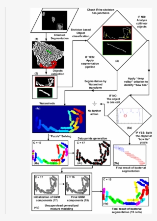 Skeleton Based Object Classification #7574057