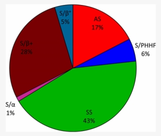 Distribution Of Sickle Cell Phenotypes In Patients #7580713