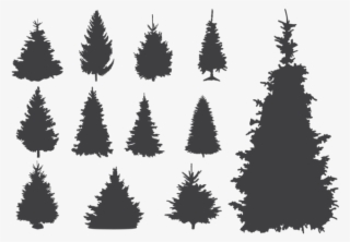 Sapin Silhouettes Vector #7582964
