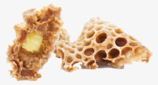 La Jalea Real Es Un Rico Tesoro De Nutrientes Y Energía #7583246