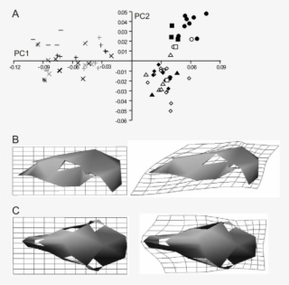 Plot Of Pc1 Against Pc2 From The Analysis Of All 70 #7583675