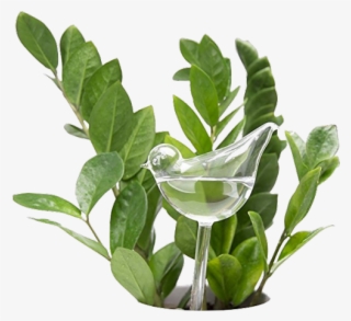 Tumblr Plants Png #7584923 Tumblr Plants Png #7584923