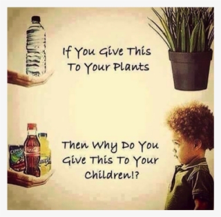 Tumblr False Analogy #7585095