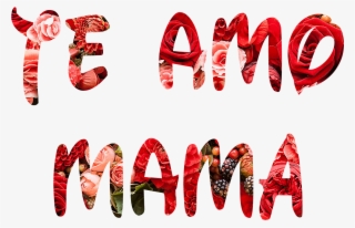 Se Puede Aumentar El Tamaño De La Letra O Reducirla #7586668