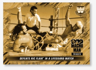 Gallery - Bull Riding #7588281