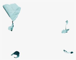 Front 2 - Black Cat #7588517