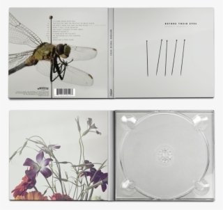 Sean Jenkins The Following Is Placeholder Text Known - Mosquito #7588760