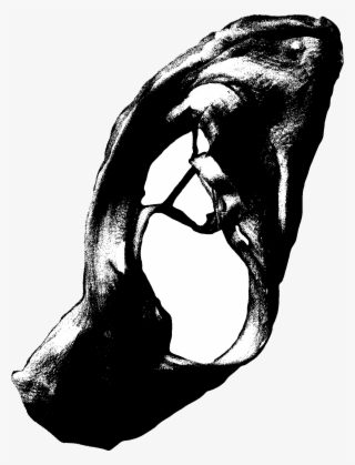 1800 X 1800 6 - Illustration #7590252