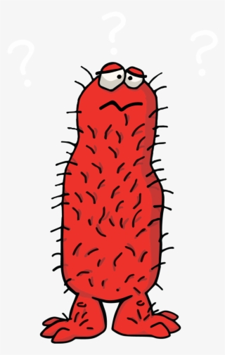 Hairy Confusedred - Illustration #7591705