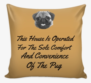 Cushion #7593109