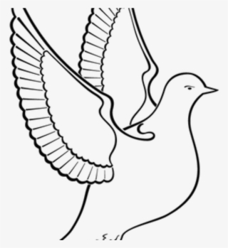 Share - - Kuş Boyama #7593746