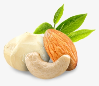 Cashew #7594195