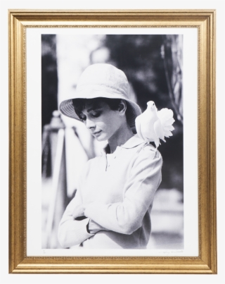 Viyet - Designer Furniture - Accessories - Terry O'neill - Terry O Neill Audrey Hepburn #7594756