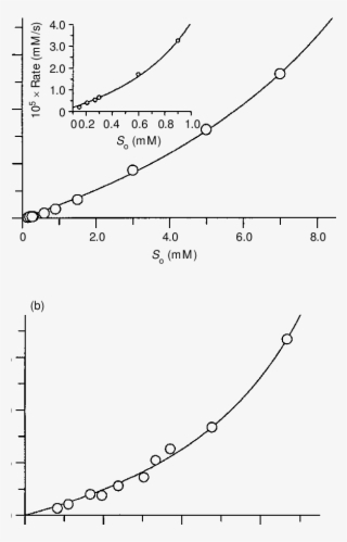 Rate Of Hydrolysis Of Α-cf By Cena As A Function Of - Diagram #7594976 Rate Of Hydrolysis Of Α-cf By Cena As A Function Of - Diagram #7594976