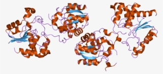 Pdb 2c46 Ebi - Illustration #7594980 Pdb 2c46 Ebi - Illustration #7594980