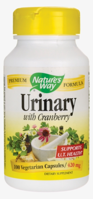 Napster And The Piracy Crisis In America - Nature's Way Blood Sugar 90 Capsules #7595020