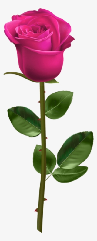 Free Png Download Pink Rose With Stem Transparent Png - Red Rose With Stem Transparent #7595691