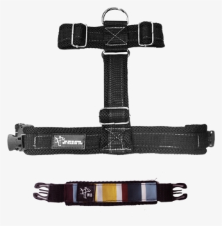 Wd Walking Dog - Dog #7596499