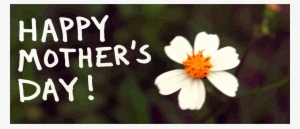 This Free Icons Png Design Of Happy Mother's Day Banner #761004