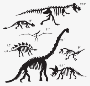 Bone Drawing Triceratops - Dinosaur Fossil Black And White #761610