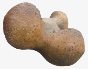 Dinosaur Bone Small Statue - Penny Bun #761901