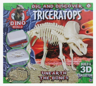 Dig And Discover Dino Excavation Kit - Retro Backscratcher With Shoehorn #762777