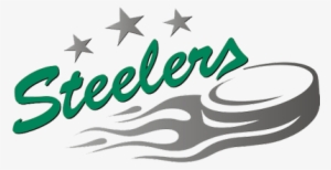 Bietigheim Steelers - Sc Bietigheim-bissingen #762832