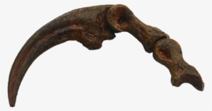 Velociraptor Toe Claw #763158