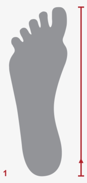 Choose The Right Size - Footprint - Free Transparent PNG Download - PNGkey