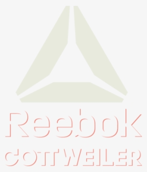 Reebok Aw17 Logoandrewgrune2017 12 23t01 - Reebok Otr Ls Comp M #763804