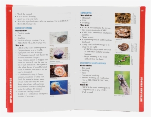 Images - Flyer #764453
