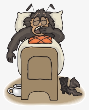 What Are Bed Bugs - Bed Bug Bite #764524