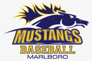 Georgia Tech Yellow Jackets Football #764634