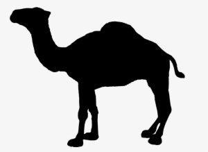 Camel Logo - Camel Cigarettes, Jade Silver, Turkish Blend - 20 Cigarettes #764662 Camel Logo - Camel Cigarettes, Jade Silver, Turkish Blend - 20 Cigarettes #764662