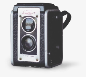 Info - Water Fence Boys #764989