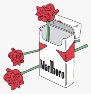 Report Abuse - Marlboro Rose #765014