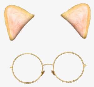 #snow #filter #cat #glasses - Cat Filter Png #766728