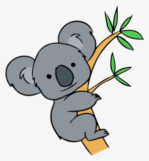 Koala - Koala Clipart #766920