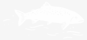 Forest Fins And Footprints - Ps4 Logo White Transparent #766949 Forest Fins And Footprints - Ps4 Logo White Transparent #766949