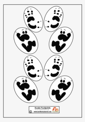 Koala Bear Footprints, Koala, Bear, Clothes Png Image - Koala Footprints #767292