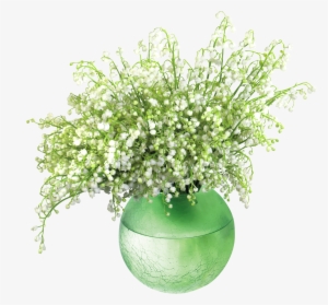 Lily Of The Valleyin Vase Png Clip Art Image - Lily Of The Valley In Vase #767351