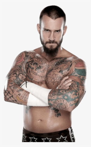 When Fans Have Complaints About The Wwe's Product, - Cm Punk Png #767368