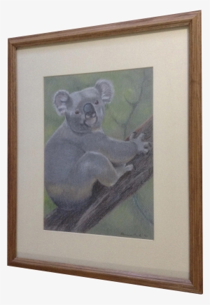 Eleanor Cook, Koala Bear In A Tree, Conte Works On - Koala #767371