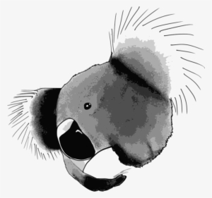 Koala Bear Drawing Computer Icons Giant Panda - Custom Koala Shower Curtain #767595