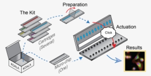 Koala Overview2-04 - Electronics #767734