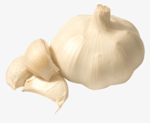Free Png Garlic Png Images Transparent - Garlic Png #769042