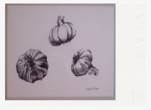 Pen And Ink - Science #769184