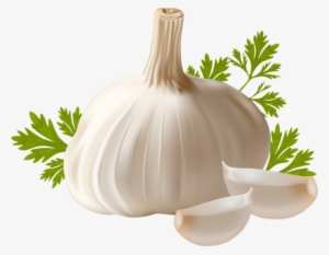 Garlic Png #769203